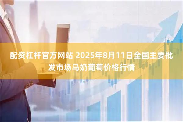 配资杠杆官方网站 2025年8月11日全国主要批发市场马奶葡萄价格行情