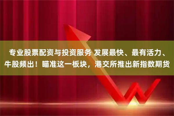 专业股票配资与投资服务 发展最快、最有活力、牛股频出！瞄准这一板块，港交所推出新指数期货