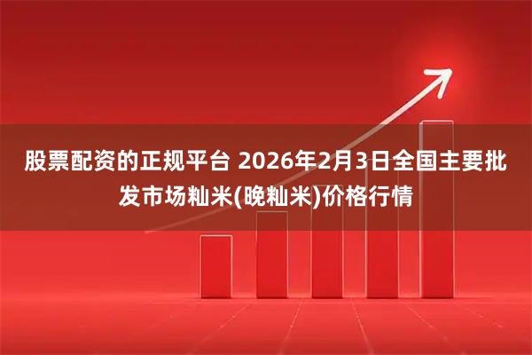 股票配资的正规平台 2026年2月3日全国主要批发市场籼米(晚籼米)价格行情