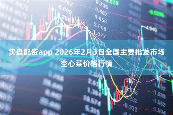 实盘配资app 2026年2月3日全国主要批发市场空心菜价格行情