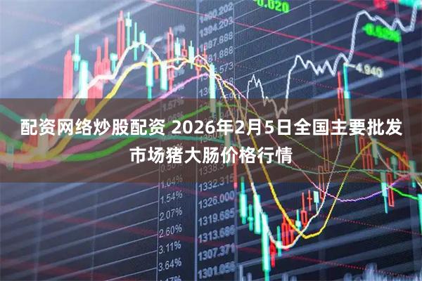 配资网络炒股配资 2026年2月5日全国主要批发市场猪大肠价格行情